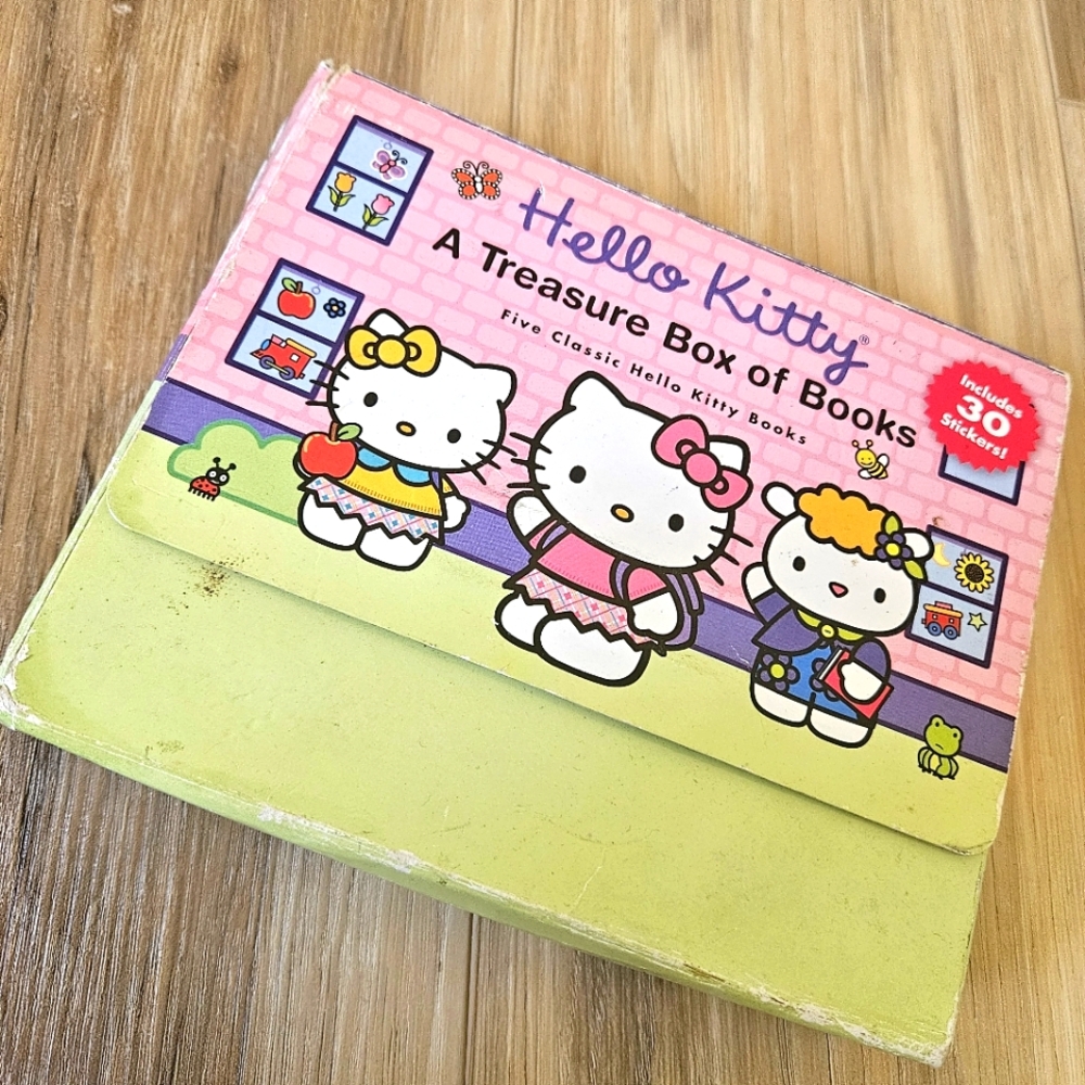 Rare Hello Kitty Book Lot Treasure Box of Books Collectible Hello Kitty Item Kid